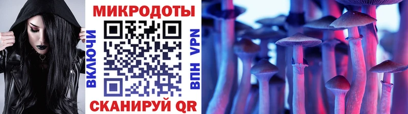 где купить блэк спрут Галлюциногенные грибы Magic Shrooms Батайск
